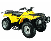 250cc 4-stroke double cylinder air-cooled ATV from China